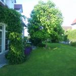 images/Bilder/bepflanzungen/Baustellenbilder 056.jpg